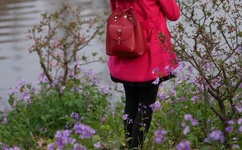 男生说想吃我的扇贝是什么意思